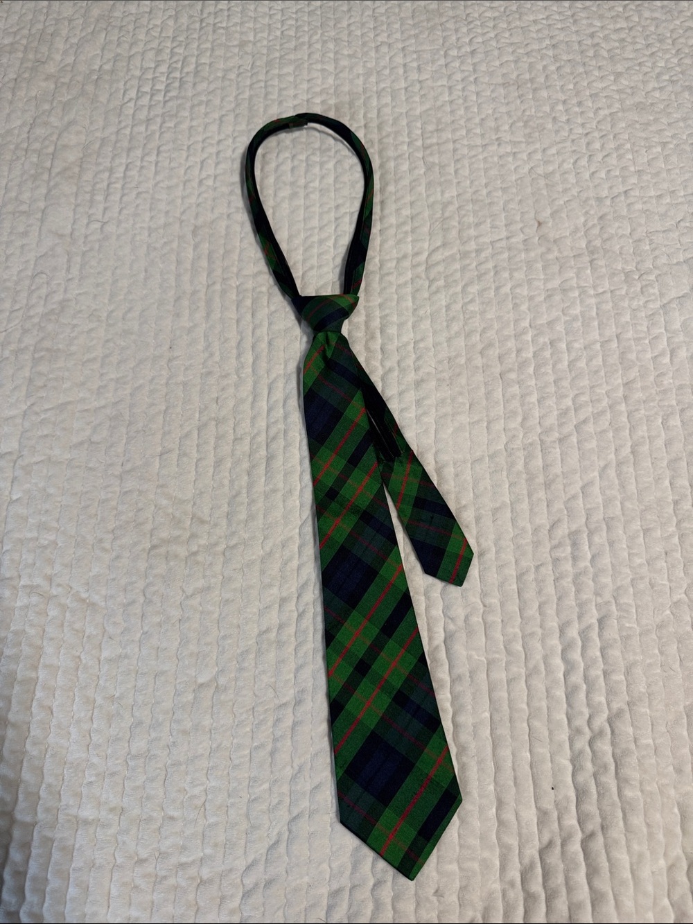 Hartstrings Green and Navy Plaid Kids Silk zip Tie with Red Accents